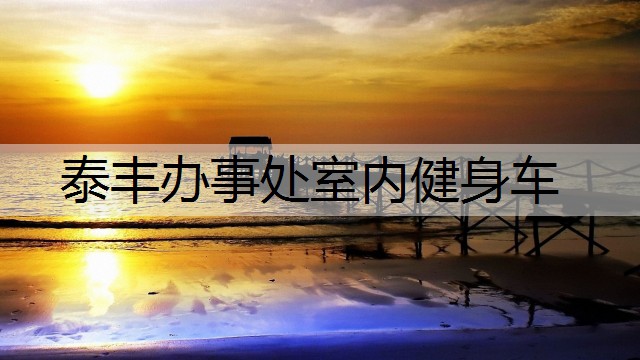 泰丰办事处室内健身车