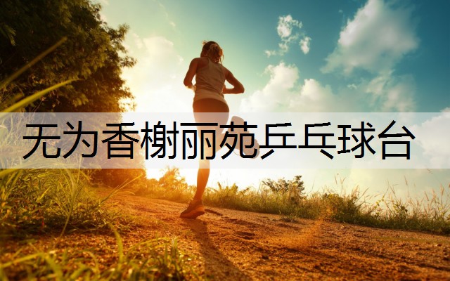 无为香榭丽苑乒乓球台