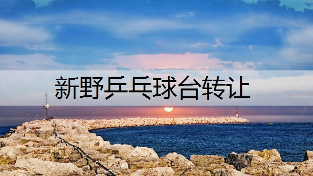 新野乒乓球台转让