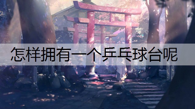 怎样拥有一个乒乓球台呢