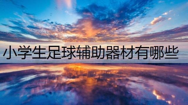 小学生足球辅助器材有哪些