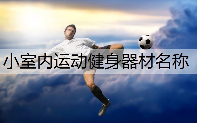 小室内运动健身器材名称