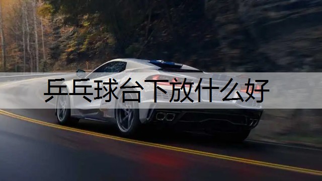乒乓球台下放什么好
