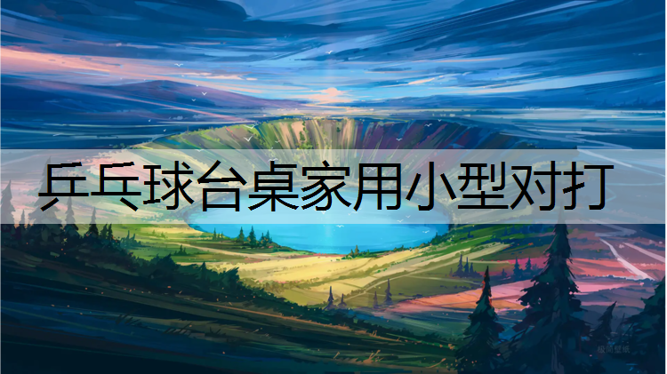 乒乓球台桌家用小型对打