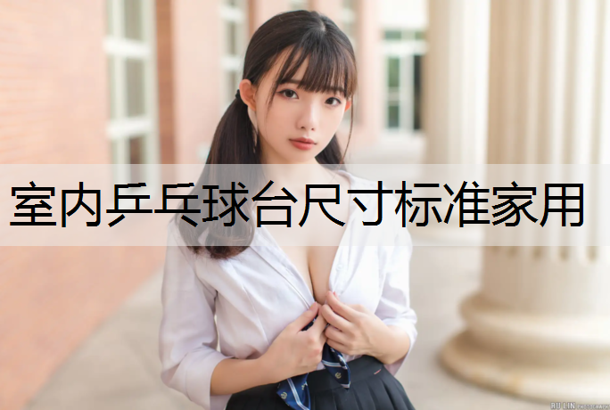 室内乒乓球台尺寸标准家用