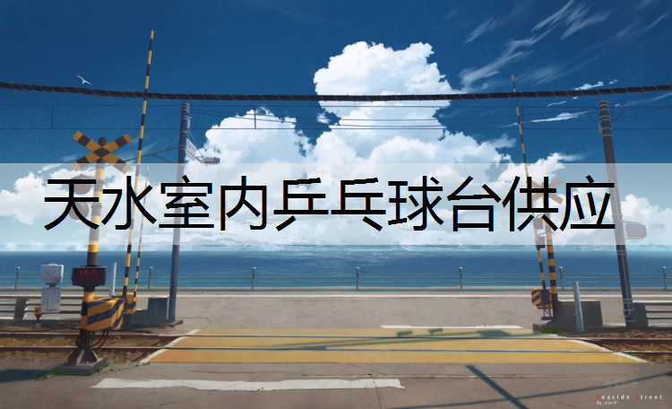 天水室内乒乓球台供应