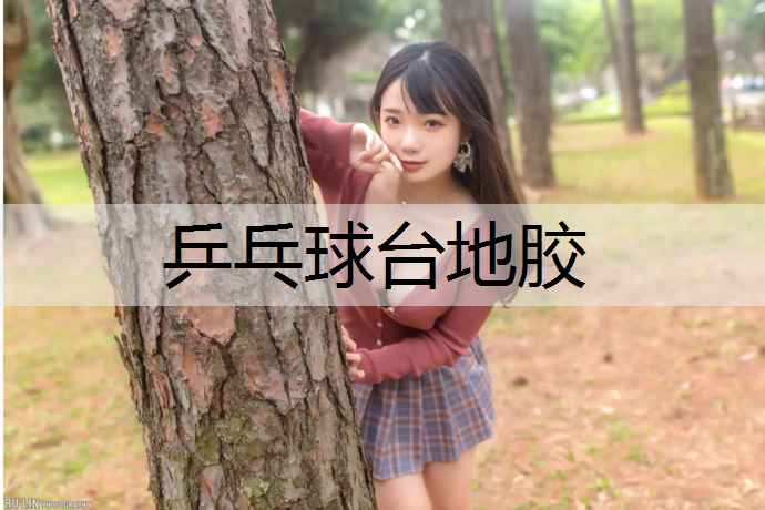 乒乓球台地胶