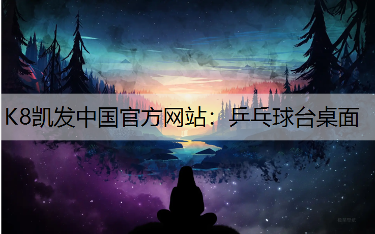 K8凯发中国官方网站：乒乓球台桌面