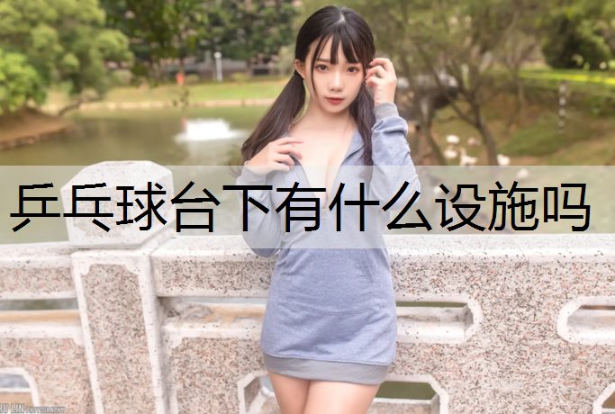 乒乓球台下有什么设施吗