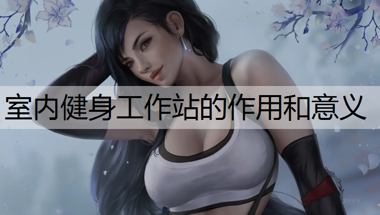 室内健身工作站的作用和意义