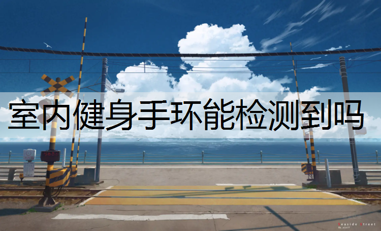 室内健身手环能检测到吗