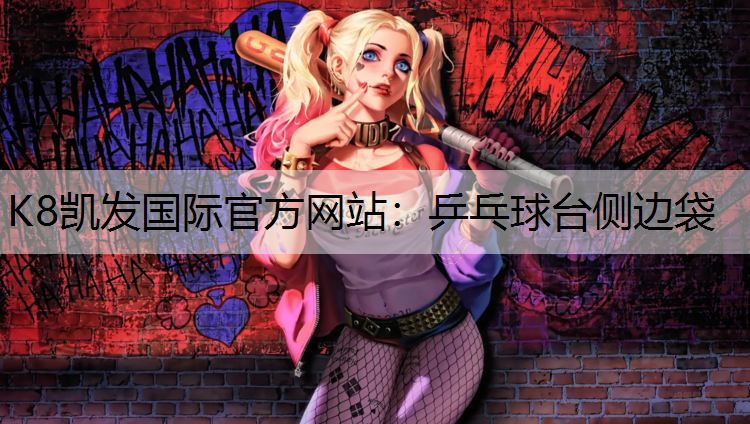 K8凯发国际官方网站：乒乓球台侧边袋