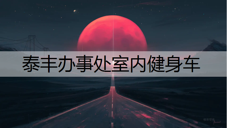 泰丰办事处室内健身车