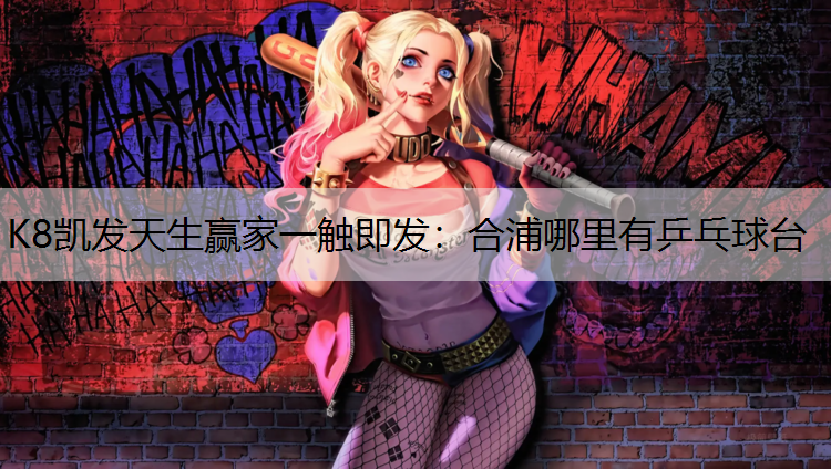 K8凯发天生赢家一触即发：合浦哪里有乒乓球台