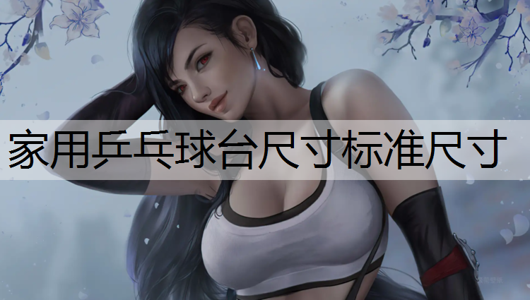 家用乒乓球台尺寸标准尺寸