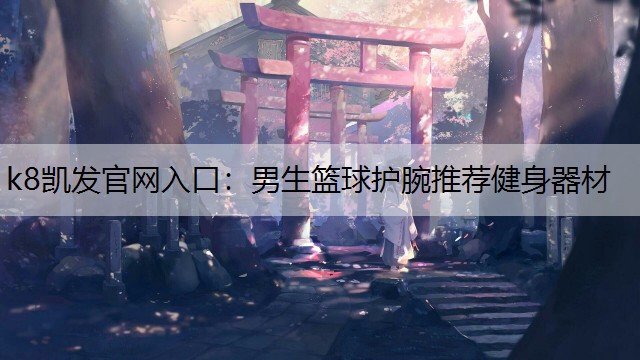 男生篮球护腕推荐健身器材