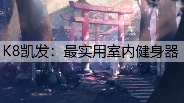 最实用室内健身器