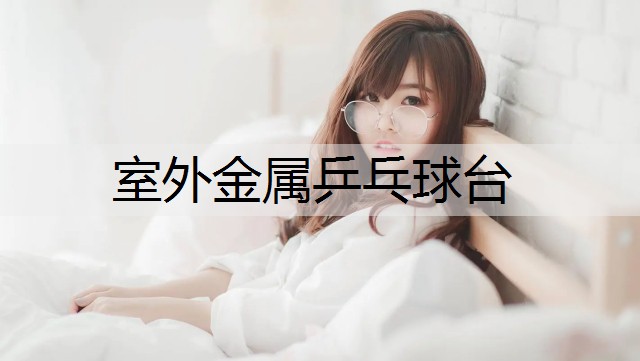 室外金属乒乓球台