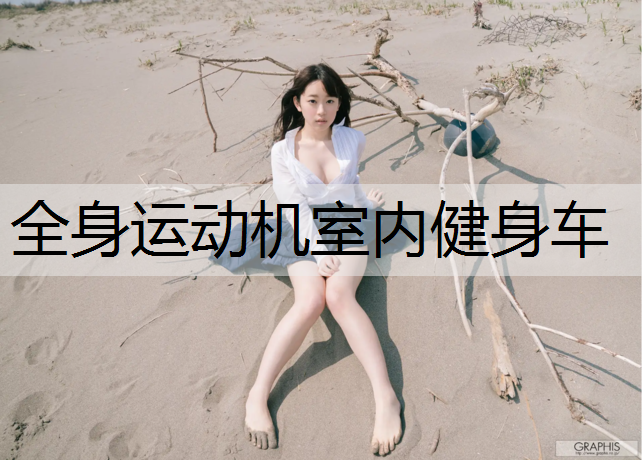 全身运动机室内健身车