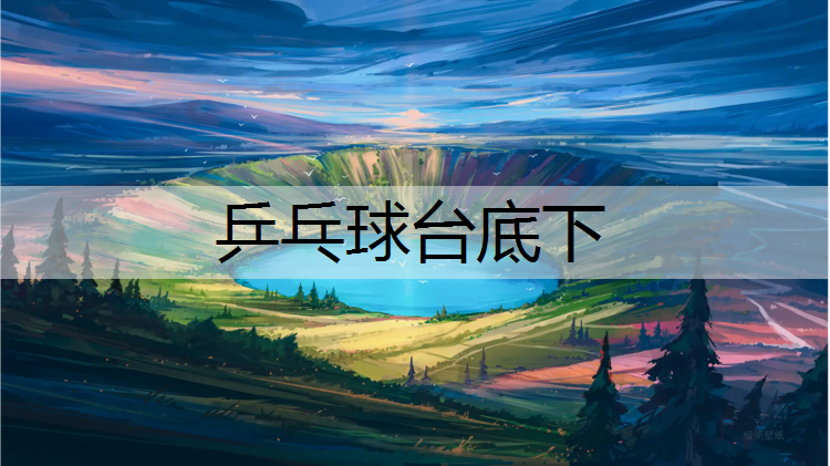乒乓球台底下