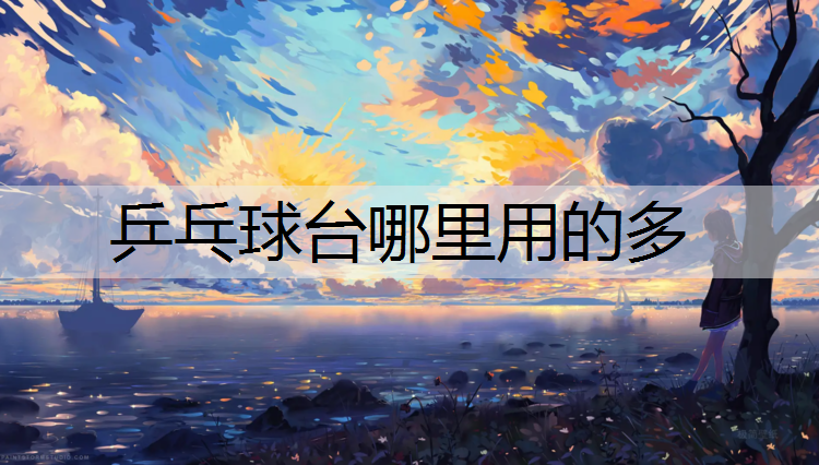乒乓球台哪里用的多
