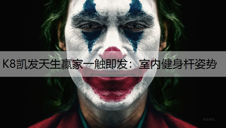 室内健身杆姿势
