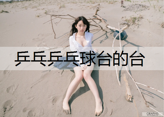 乒乓乒乓球台的台