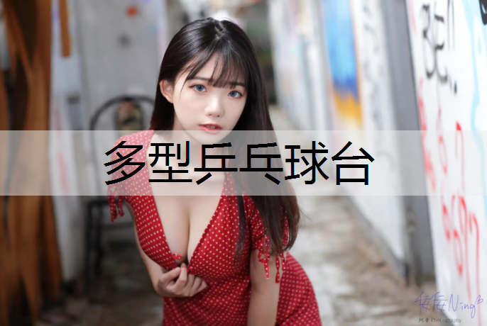 多型乒乓球台