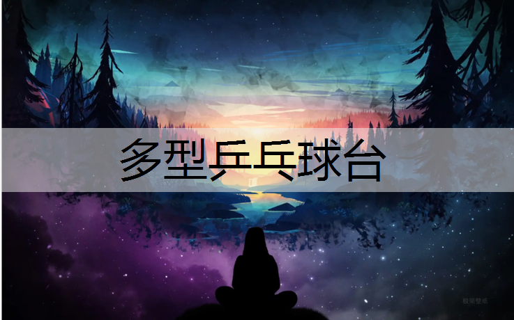 多型乒乓球台