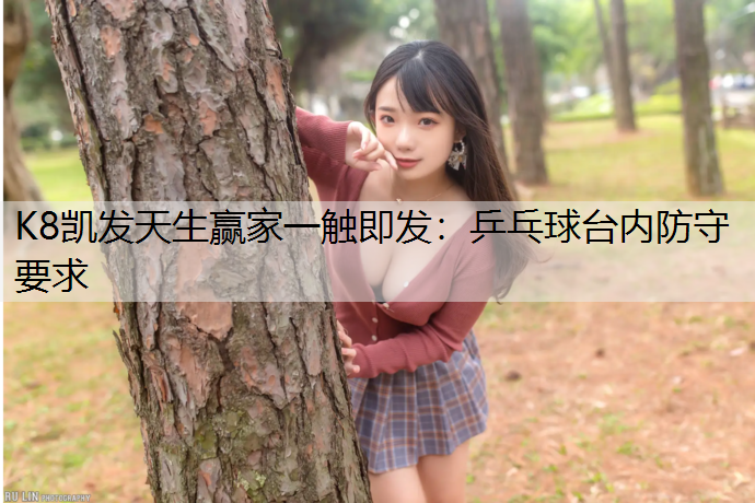 乒乓球台内防守要求