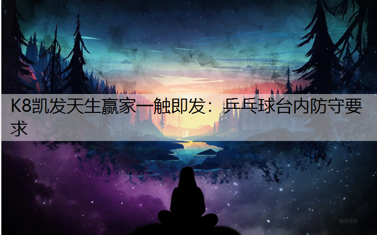 乒乓球台内防守要求