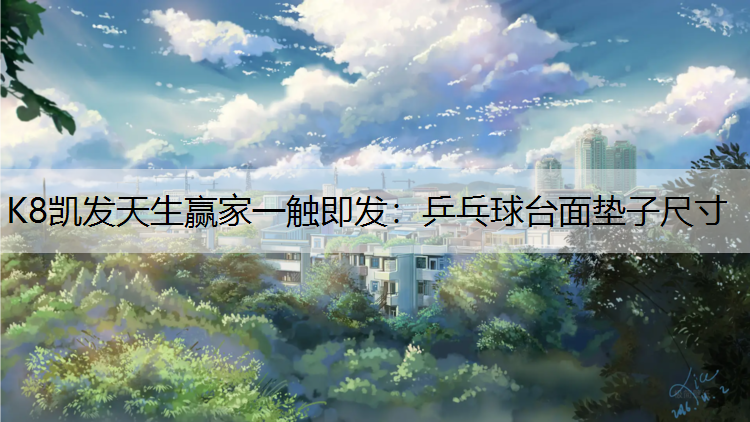 乒乓球台面垫子尺寸